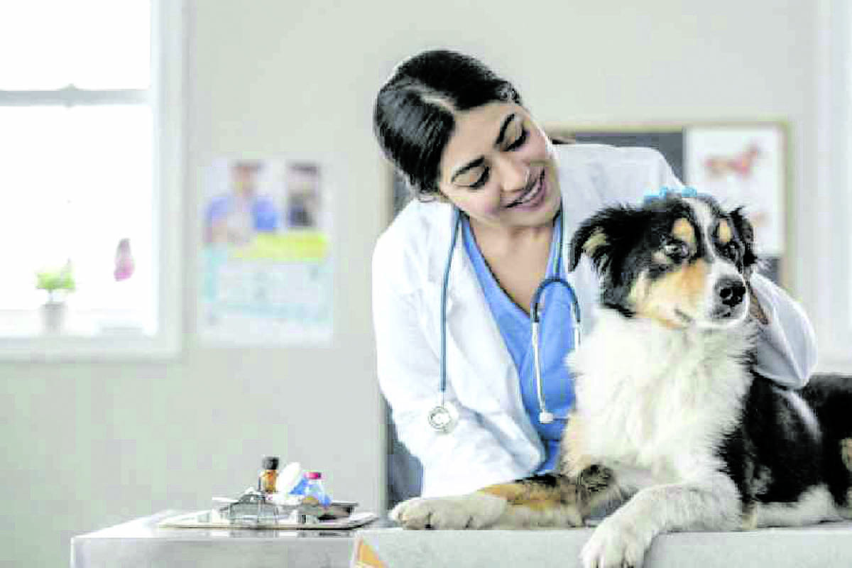 doctor