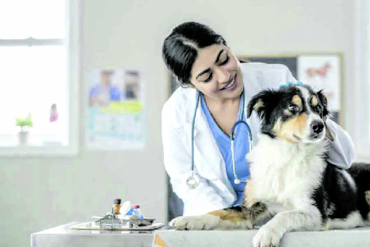 doctor