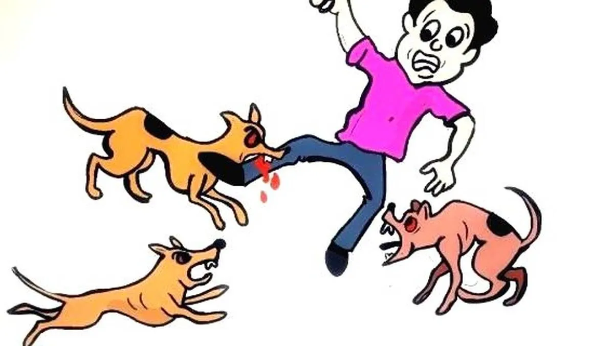 cc