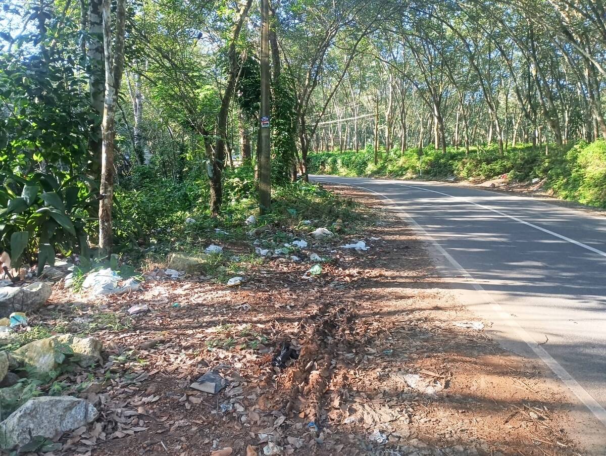 malinyam