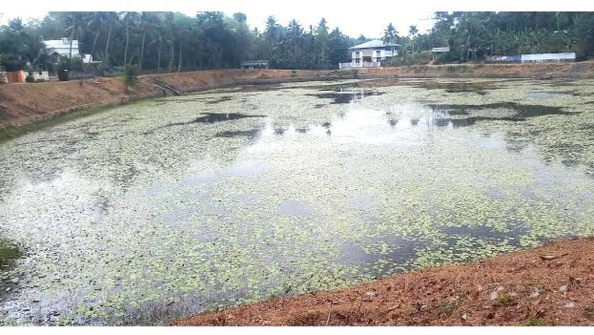 perumkulam perumkulam