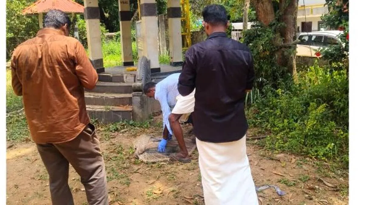 theruvunaya theruvunaya