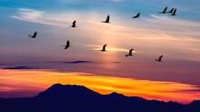 kavitha-