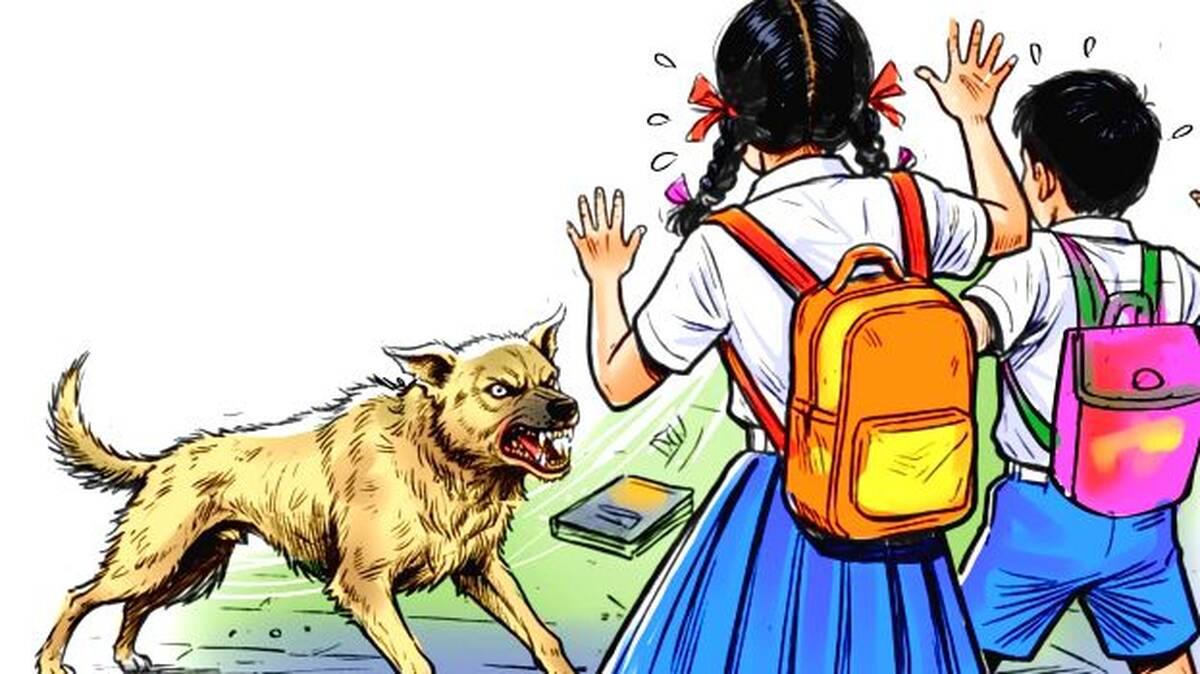 dog-s