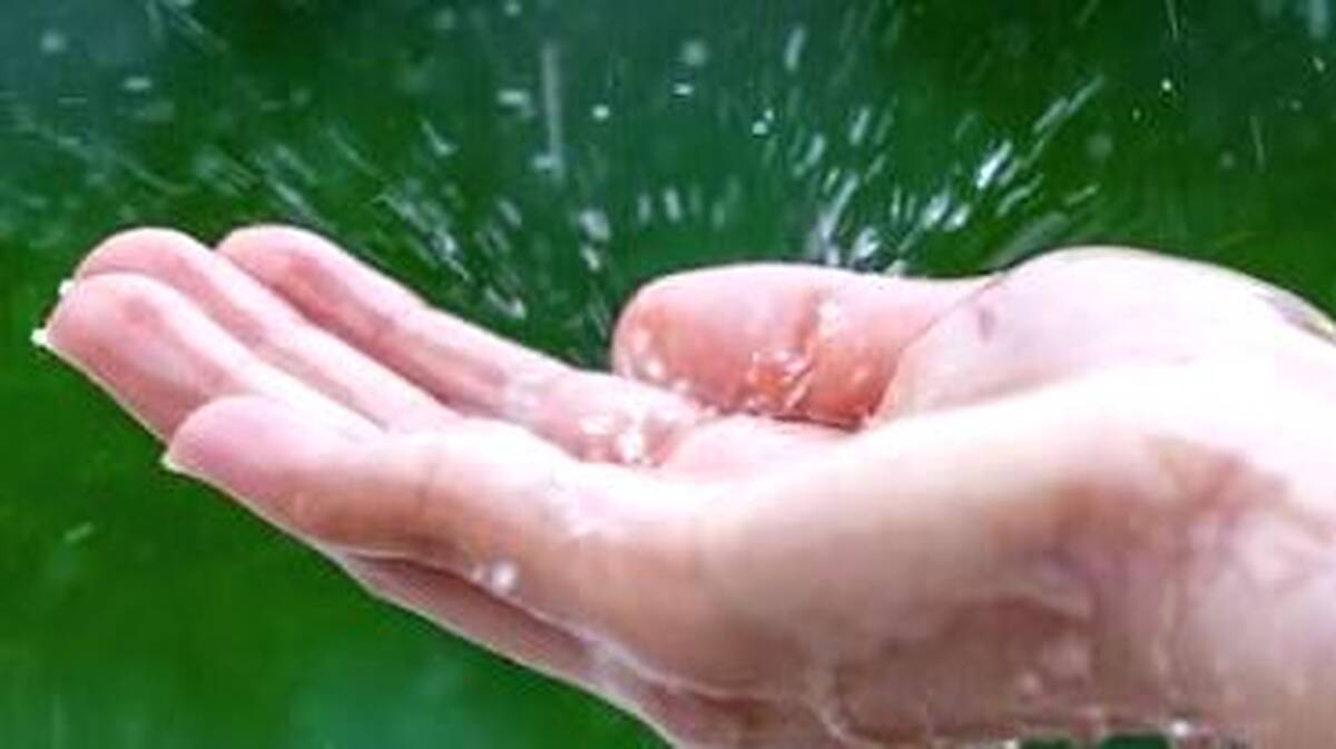 aa