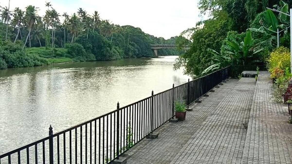 kollampuzha-nadikkara