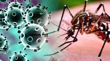 disease