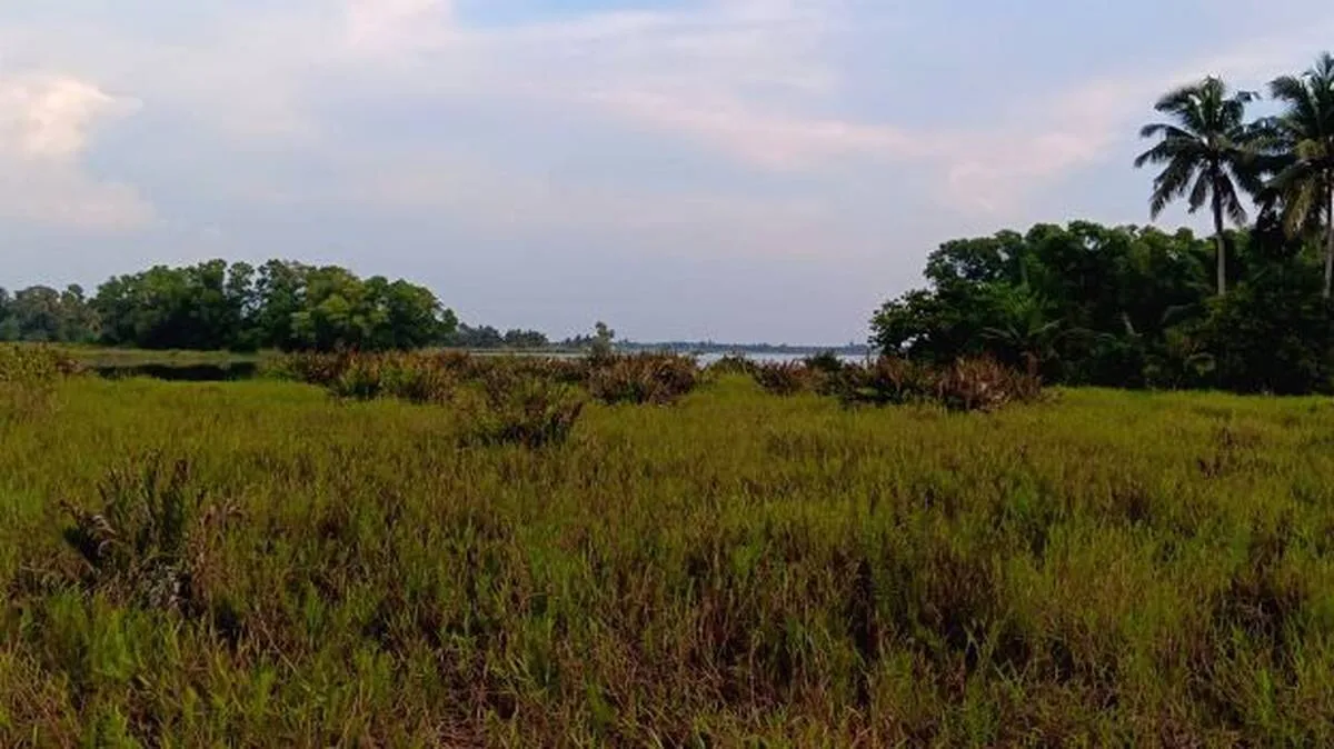 manakkal