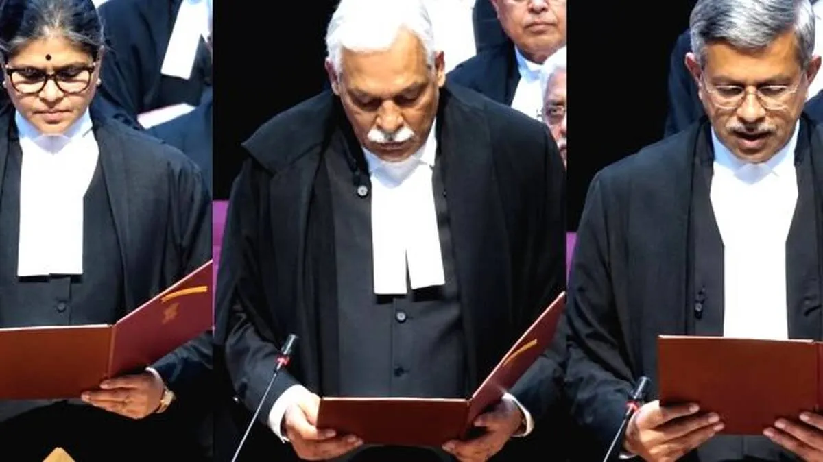 judge judge