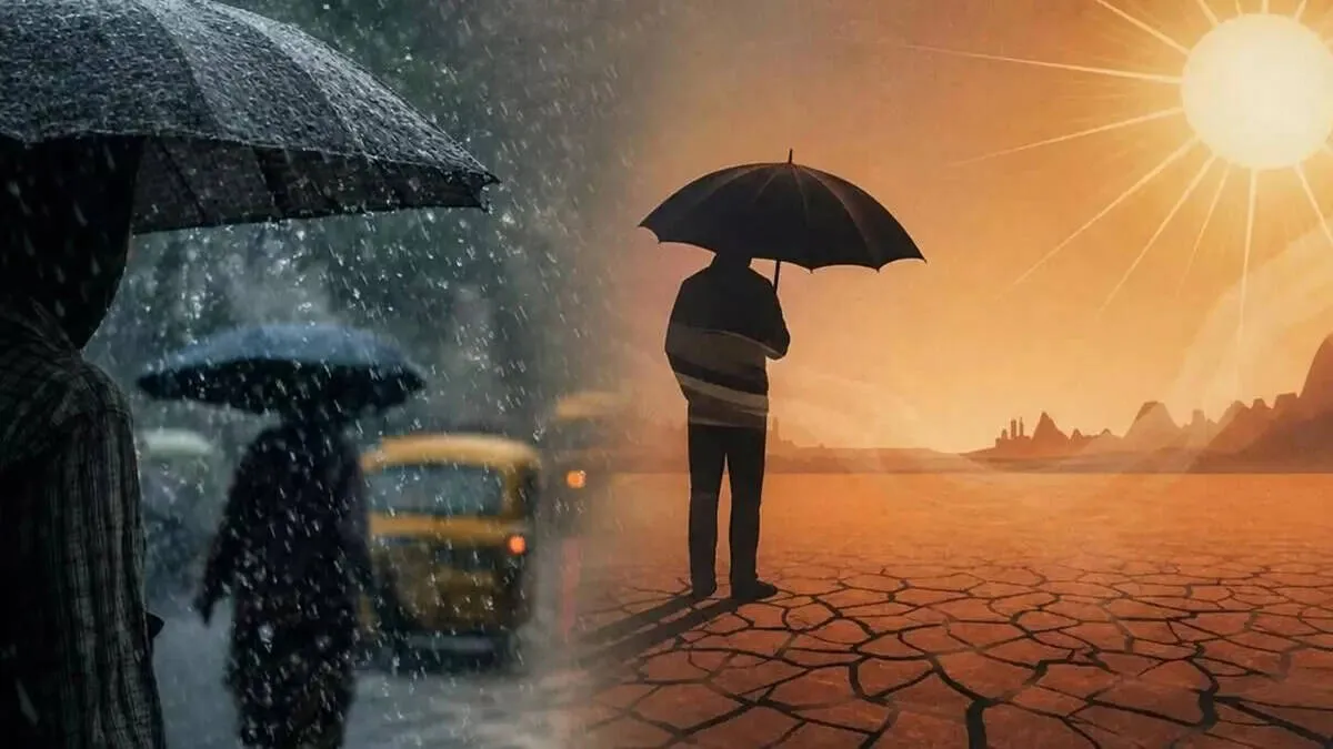 rain
