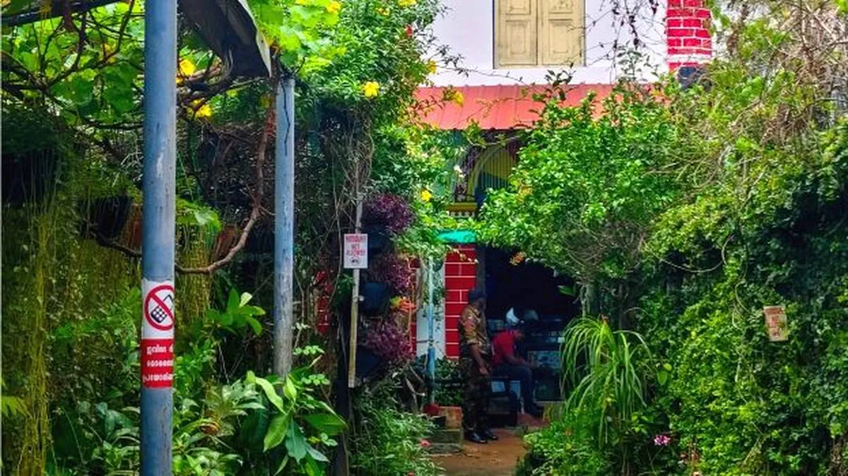 sinagog-