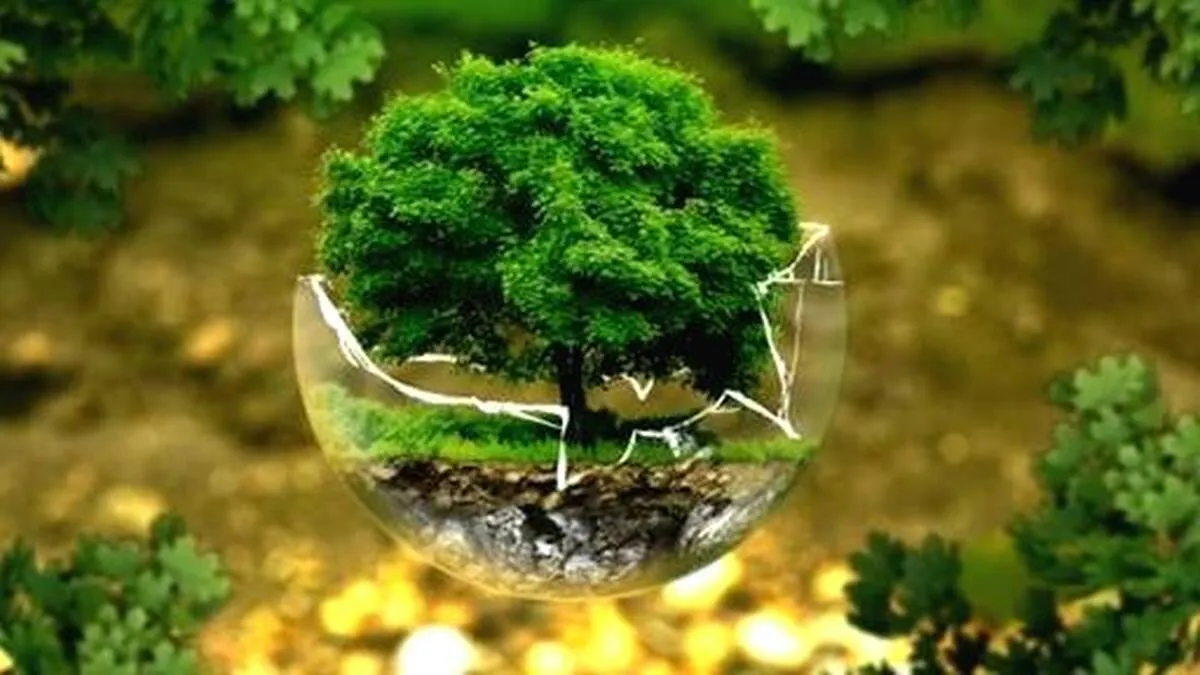 ecological-sensitive-zone ecological-sensitive-zone