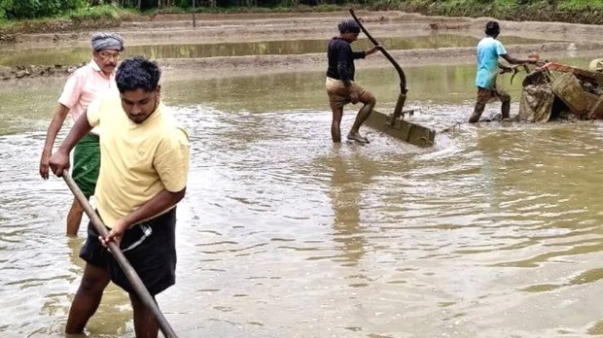 arakkulam-njaru