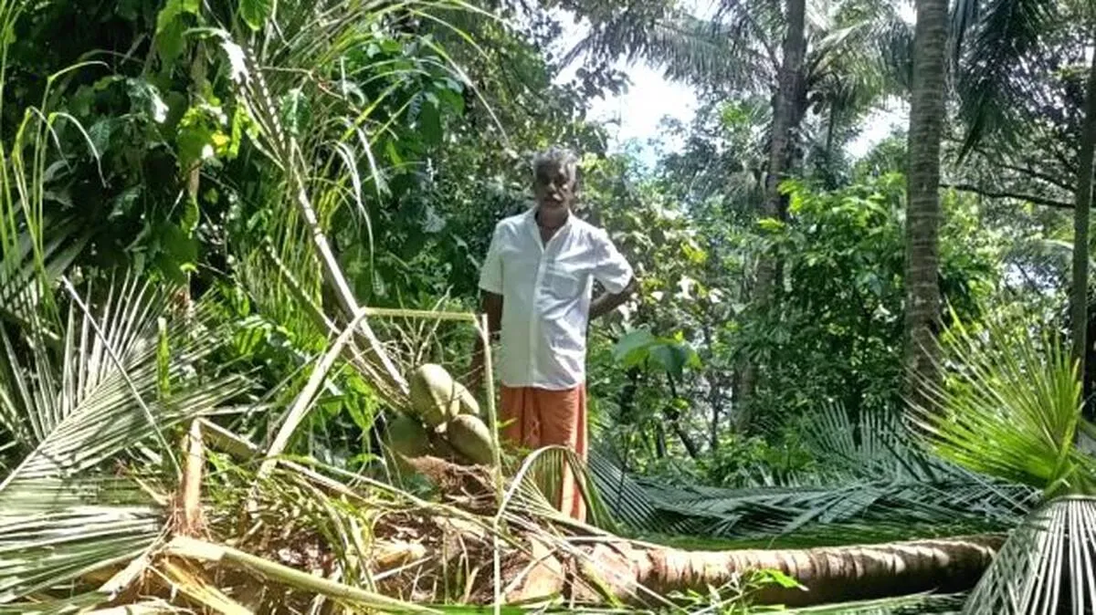 kattana