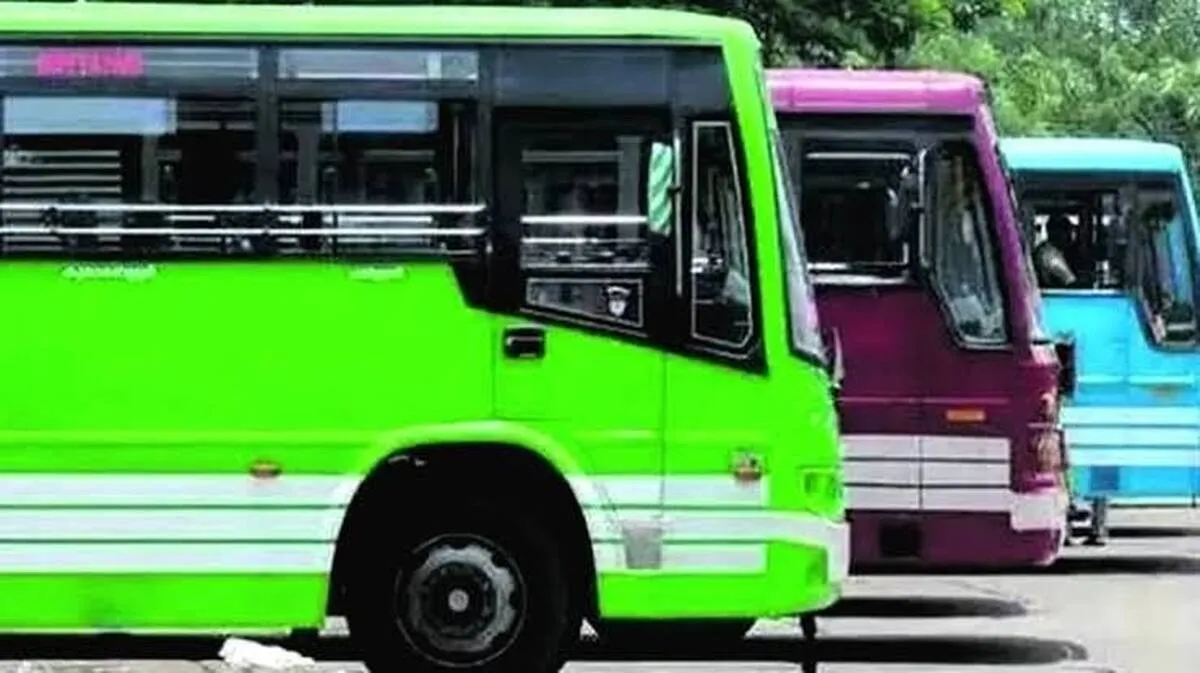 bus bus