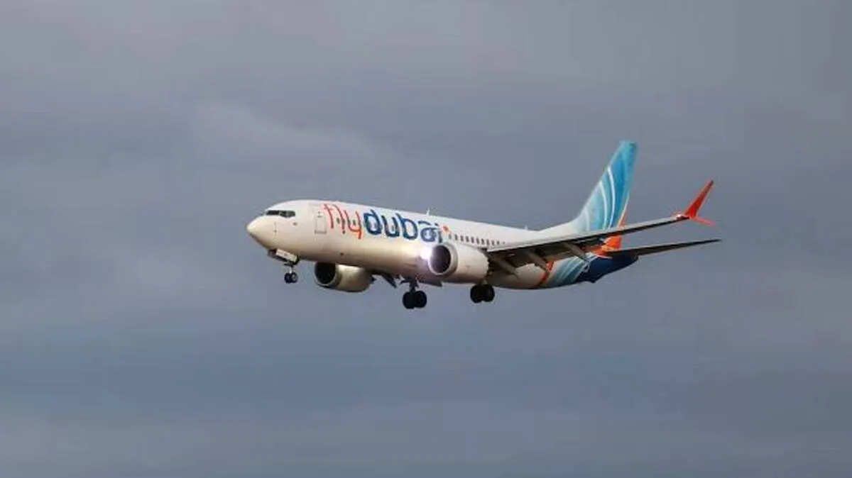 d d