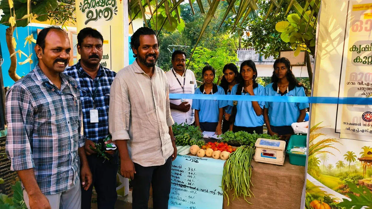 vegitable-harvest