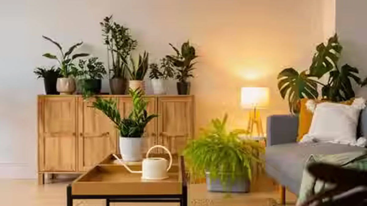 plants-