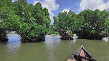 kollam