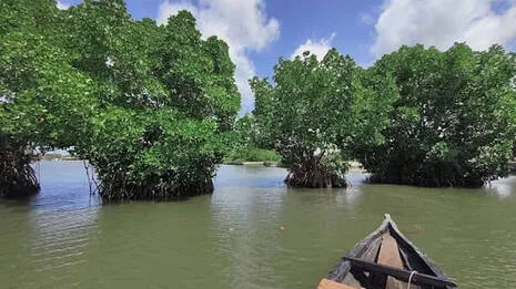 kollam.1.4051212