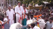 vijay-bullock-cart-mass-entry-video-viral