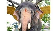 pooram