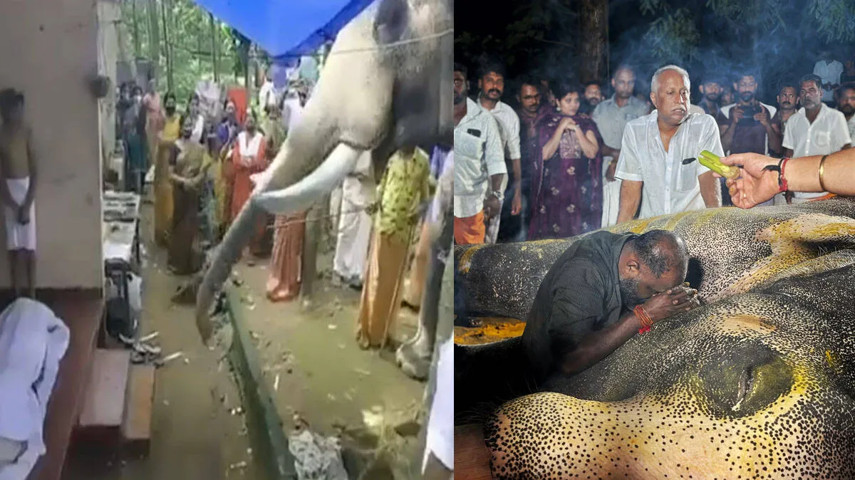 brahmadathan-