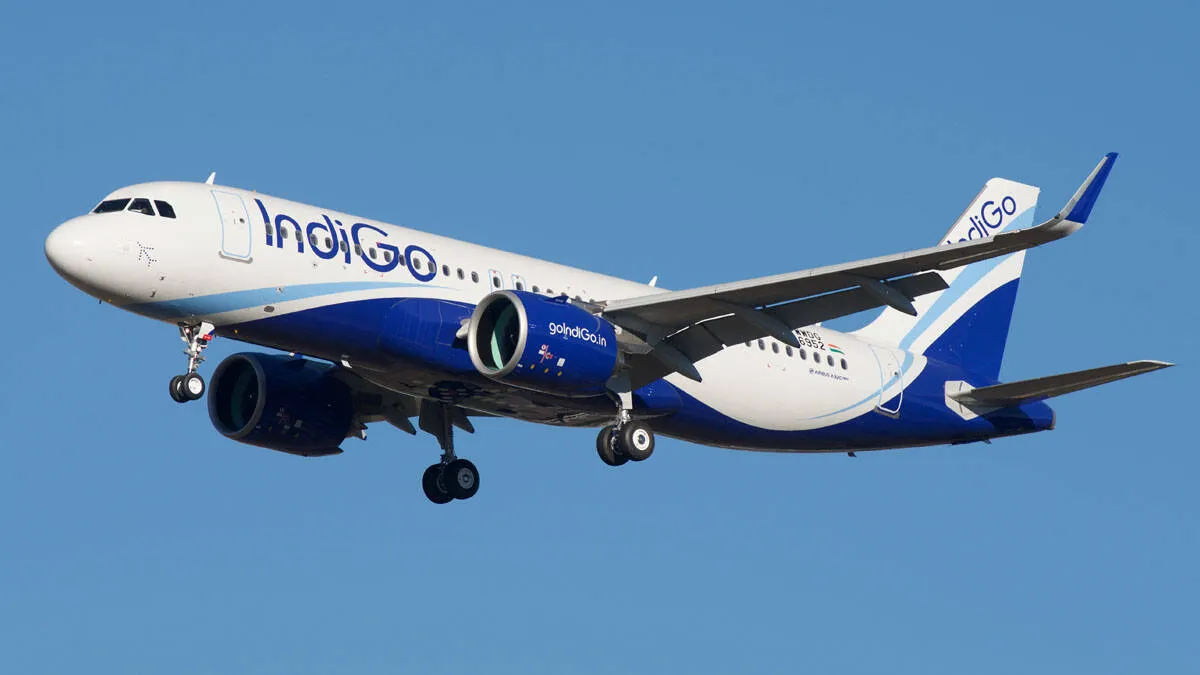 indigo