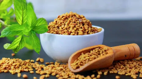 fenugreek.1.4055732
