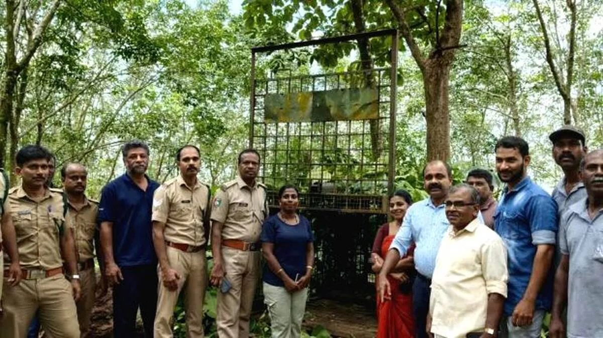 cage-set