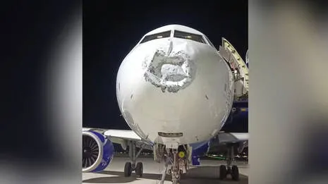 indigo-plane.1.4056897