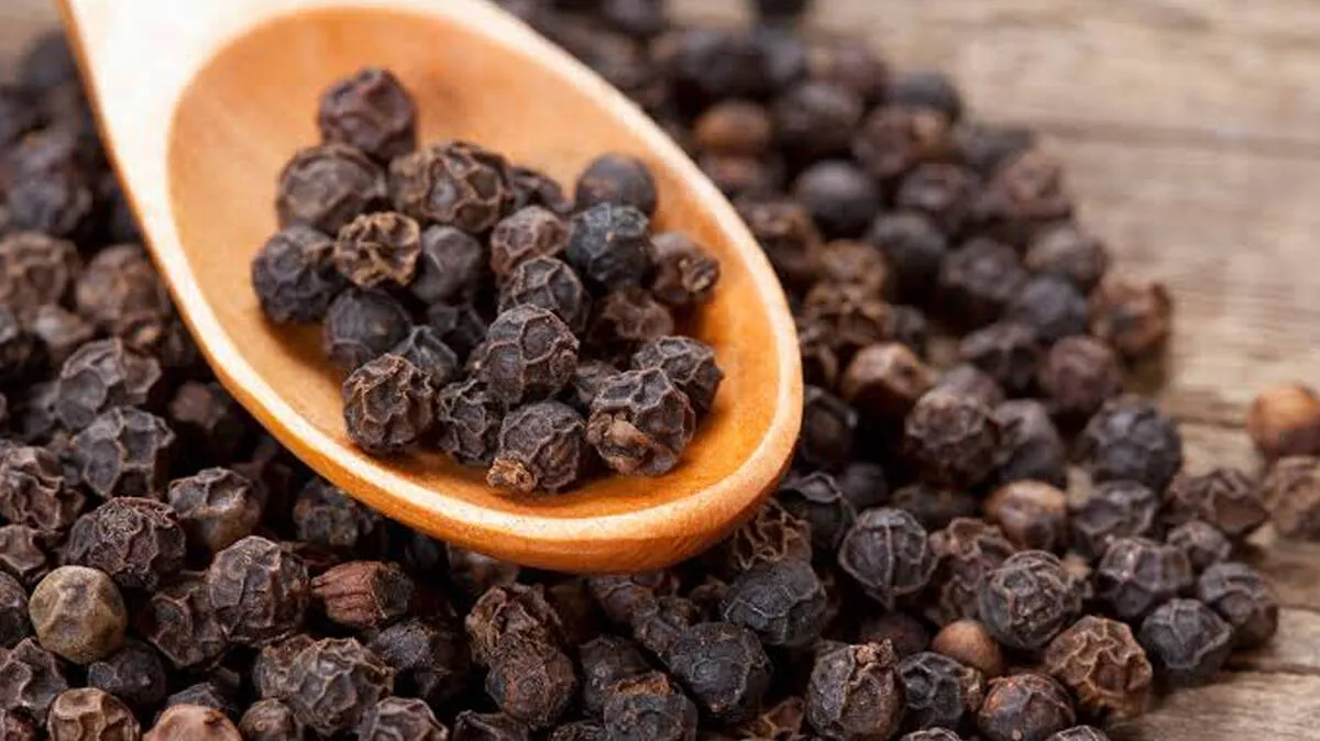 black-pepper- black-pepper-