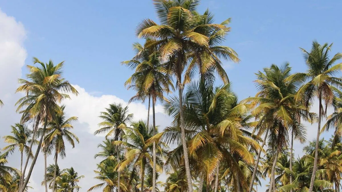 kerala