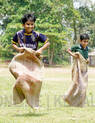 kutty