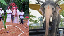 suresh-gopi-pallattu-brahmadathan-elephant-tribute