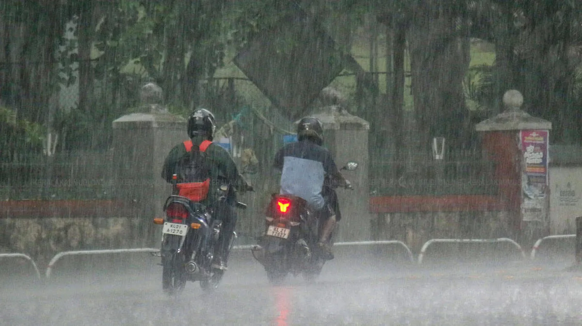 rain