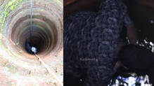 vava-suresh-well-snake-rescue
