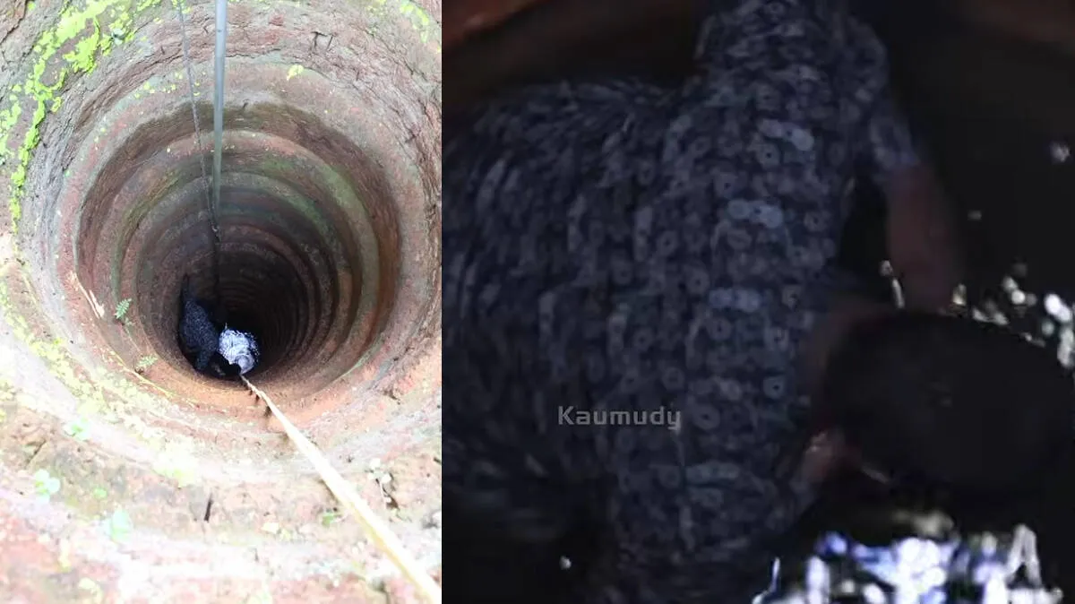 vava-suresh