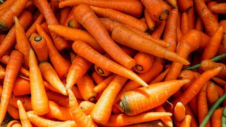 carrot.1.4070391