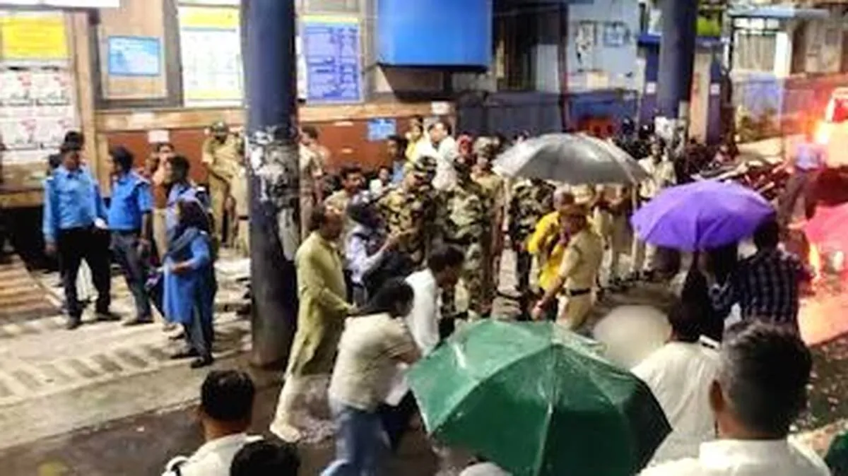 stampede stampede