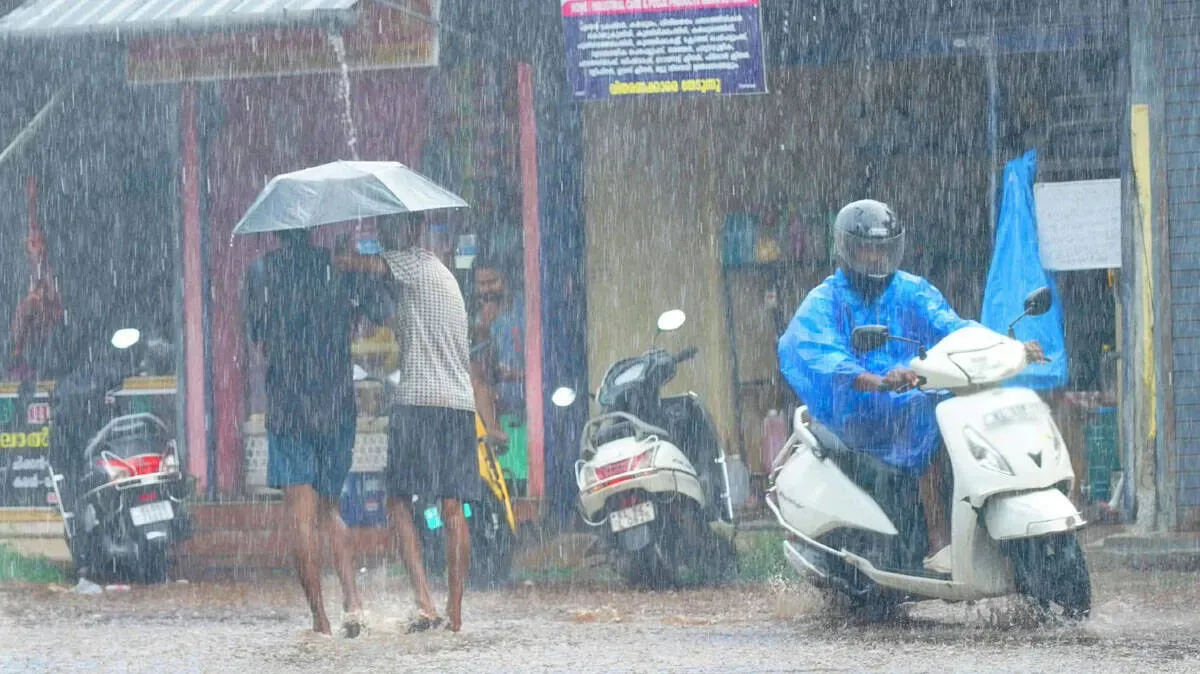 rain