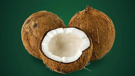 coconut.1.4074816