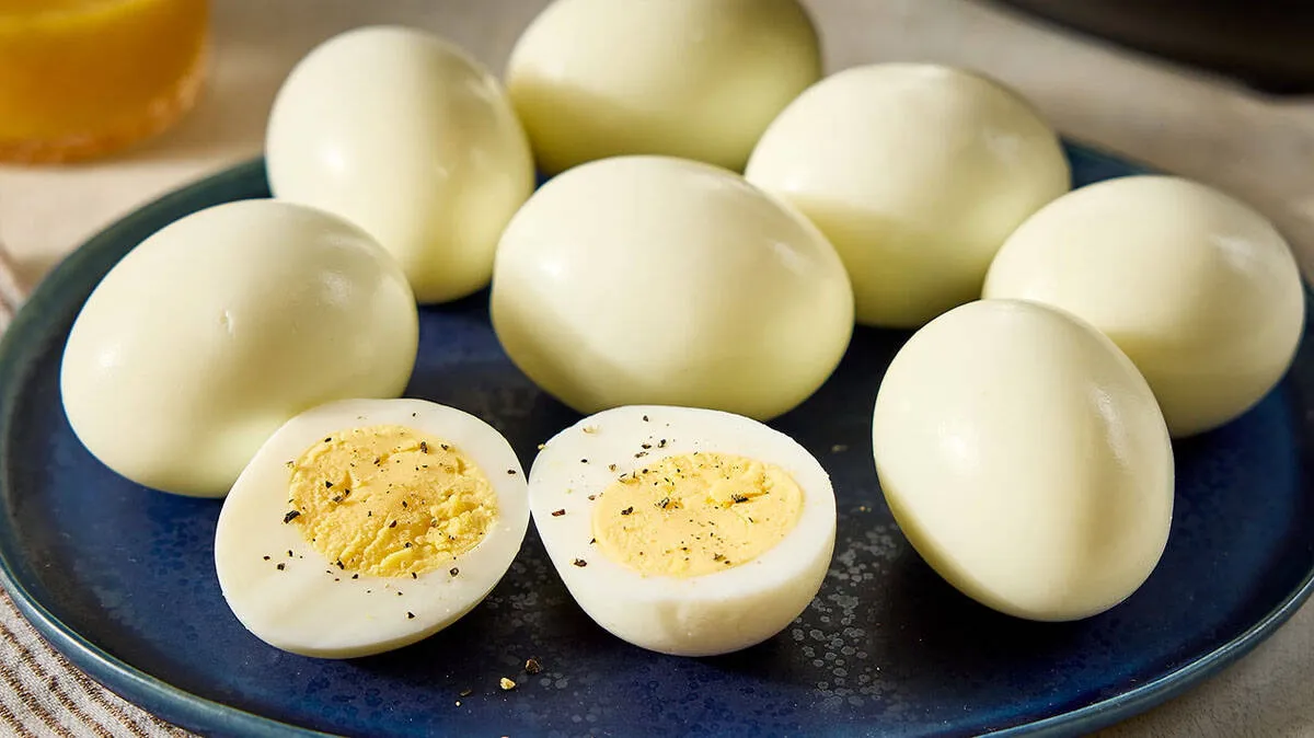 egg
