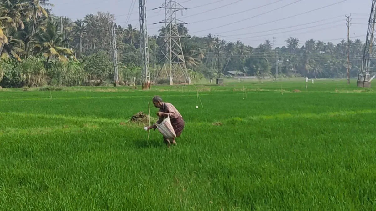farmers