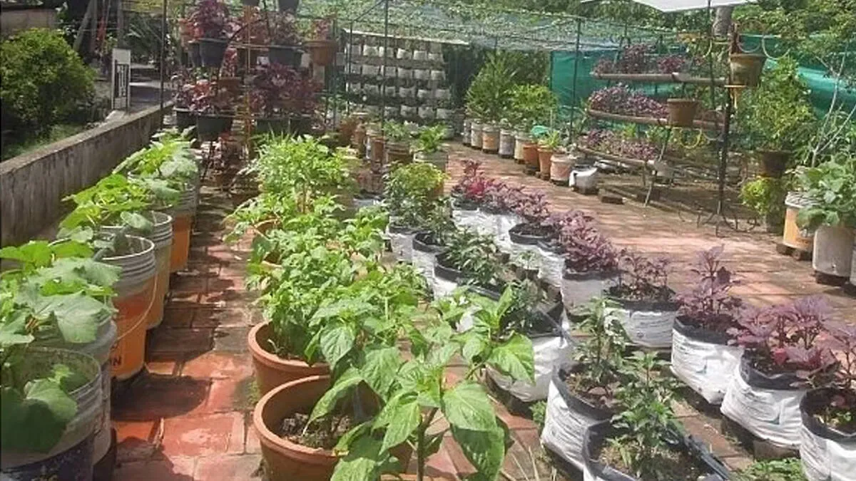 agriculture