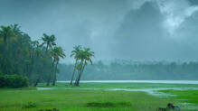 kerala-rain-yellow-alert-seven-districts-imd-weather-warning