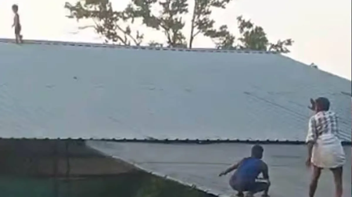 rescue