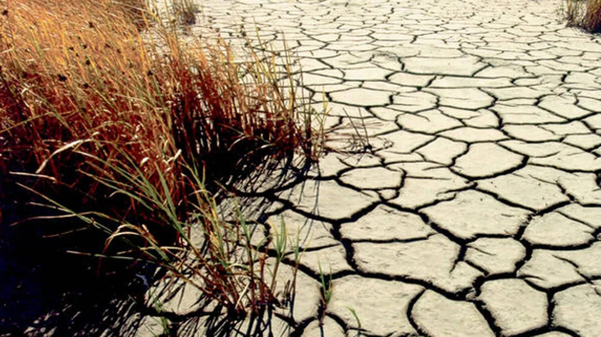 drought- drought-