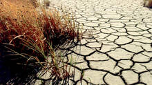 drought