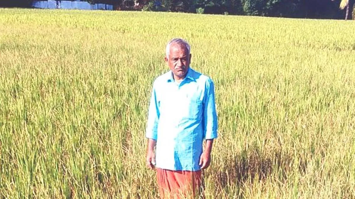 padam
